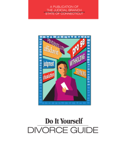 Do It Yourself Divorce Guide