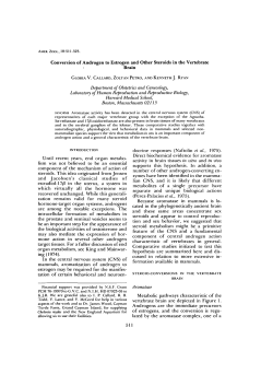 Conversion of Androgen to Estrogen and Other Steroids in the