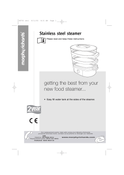 Stainless steel steamer
