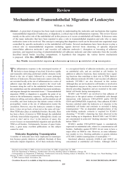 Mechanisms of Transendothelial Migration of Leukocytes