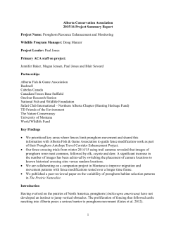 Pronghorn Resource Enhancement and Monitoring