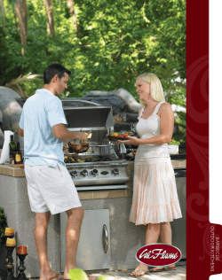 BARBECUE OUTDOOR KITCHENS