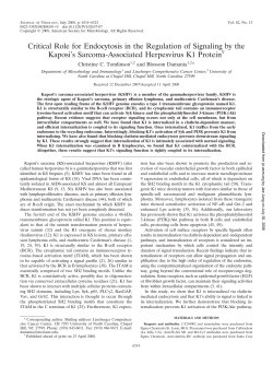 Critical Role for Endocytosis in the Regulation of - UNC