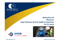 Branch Saddle Connections on PE mains Encapsulation of Leaking