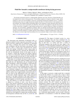 Fluid flow beneath a semipermeable membrane during