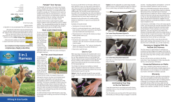 - PetSafe