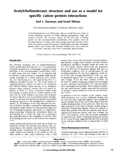 Acetylcholinesterase: structure and use as a model for specific