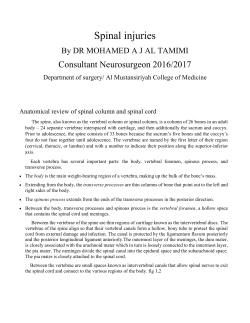 Spinal injuries
