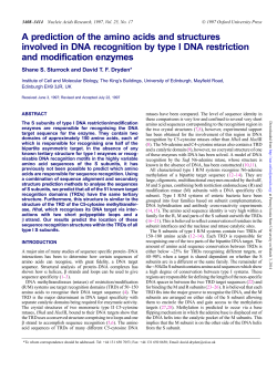 A prediction of the amino acids and structures involved in DNA