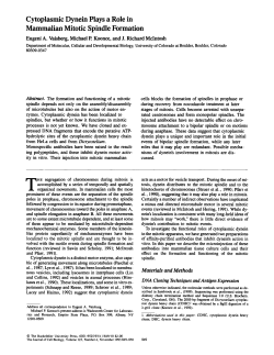 Cytoplasmic Dynein Plays a Role in Mammalian Mitotic Spindle