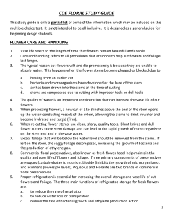 CDE Floral Study Guide
