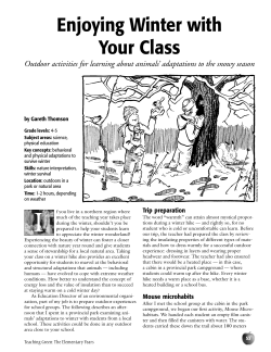 Enjoying Winter with Your Class