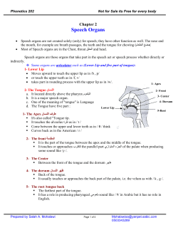 Speech Organs