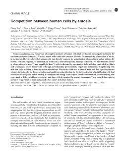 Competition between human cells by entosis