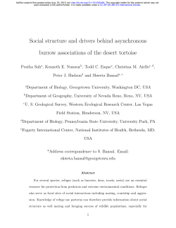 Social structure and drivers behind asynchronous burrow