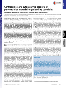 Centrosomes are autocatalytic droplets of pericentriolar material