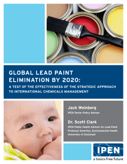 global lead paint elimination by 2020