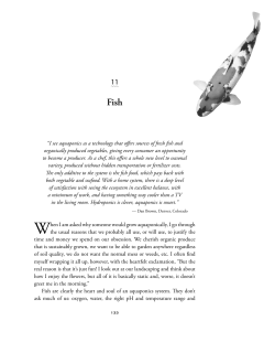 Fish! - New Society Publishers