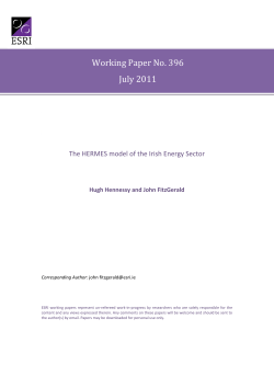 The HERMES model of the Irish Energy Sector