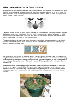 Ollas: Unglazed Clay Pots for Garden Irrigation