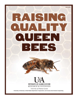 Raising Quality Queen Bees - MP 518