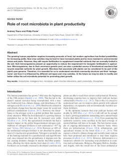 Role of root microbiota in plant productivity