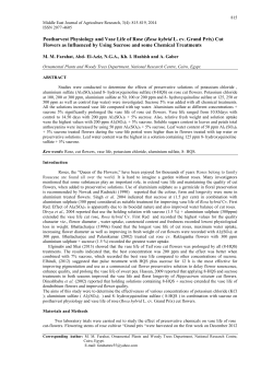 Postharvest Physiology and Vase Life of Rose (Rosa hybrid L. cv
