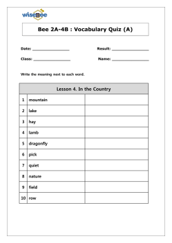 Bee 2A-4B : Vocabulary Quiz
