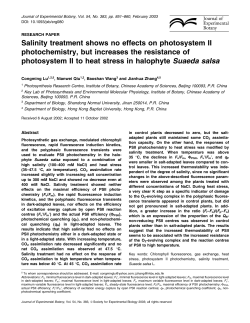 Salinity treatment shows no effects on photosystem II photochemistry
