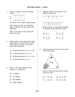Grade 3 - Problem