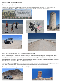 Day 4/5 – 14/15 December 2015 Etosha Day 6 – 16 December 2015