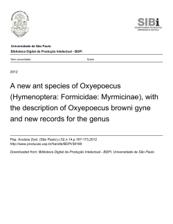 A new ant species of Oxyepoecus