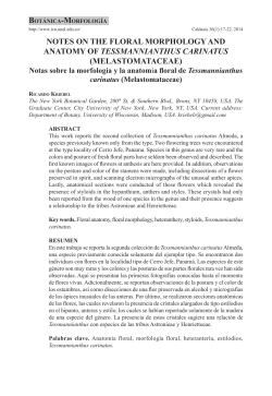 NOTES ON THE FLORAL MORPHOLOGY AND ANATOMY OF