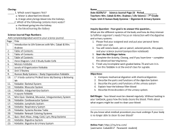 Foldable-digestive-urinary
