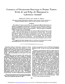 Constancy of Chromosome Karyotype in Human