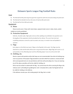 Delaware Sports League Flag Football Rules