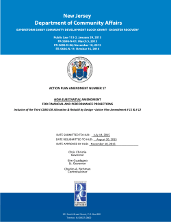 Action Plan Amendment Number 17