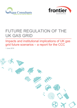 Frontier Economics Standard Word Template
