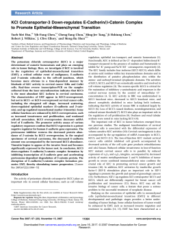 KCl Cotransporter-3 Down-regulates E-Cadherin