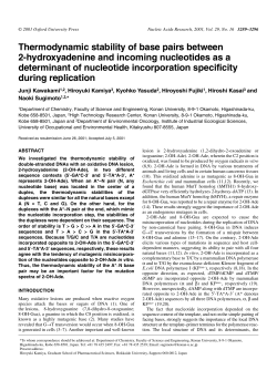 Thermodynamic stability of base pairs between 2