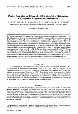 Cloning, Expression and Release of a Vibrio