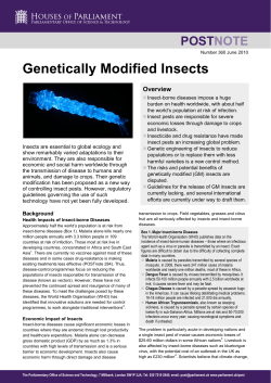 Genetically Modified Insects