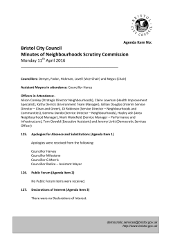 Minutes of the Previous Meeting PDF 114 KB