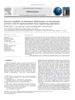 Bioactive nanofibers for fibroblastic differentiation of mesenchymal