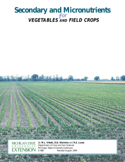 Secondary and Micronutrient for Vegetable and Field Crops
