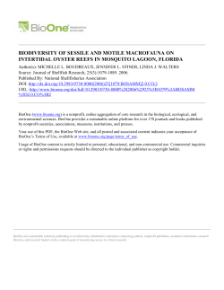 biodiversity of sessile and motile macrofauna on intertidal oyster