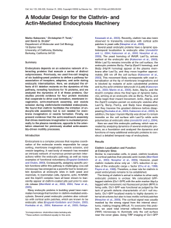 A Modular Design for the Clathrin- and Actin