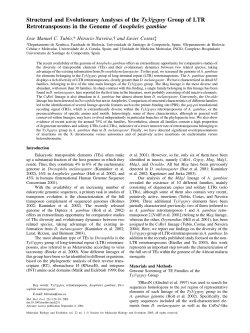 Structural and Evolutionary Analyses of the Ty3/gypsy Group of LTR