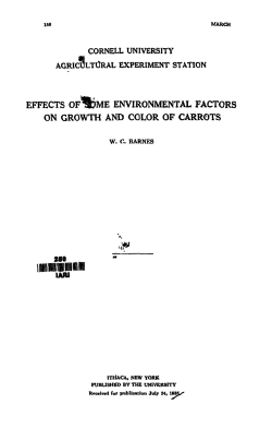 effects of~me environmental factors on growth and color of carrots