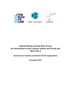 Judicial Review and the Rule of Law: An